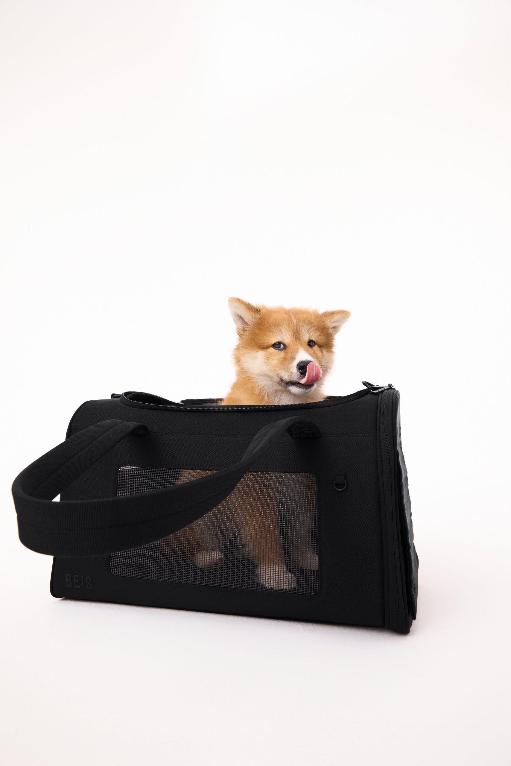 The Pet Carrier in Black - Image 4